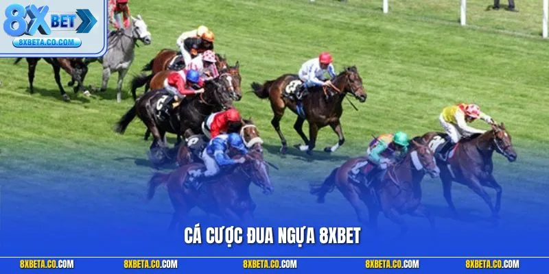 Cá cược đua ngựa